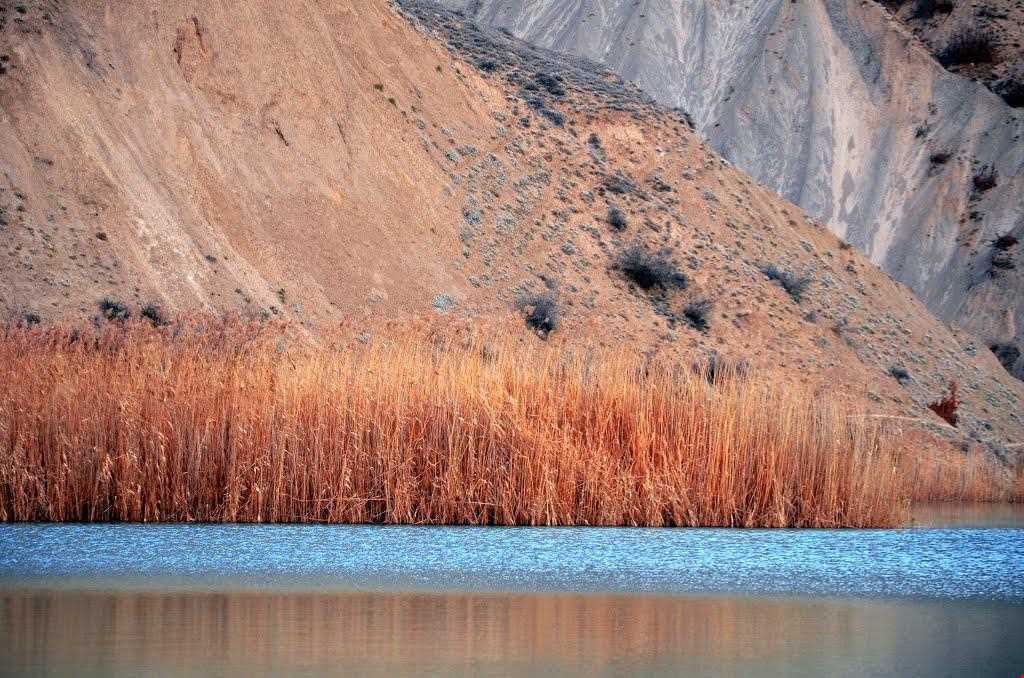 دریاچه ولشت