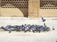 isfahan mosque