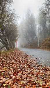 پارک جنگلی مشگین شهر