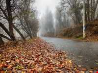 Meshgin shahr Natural Park