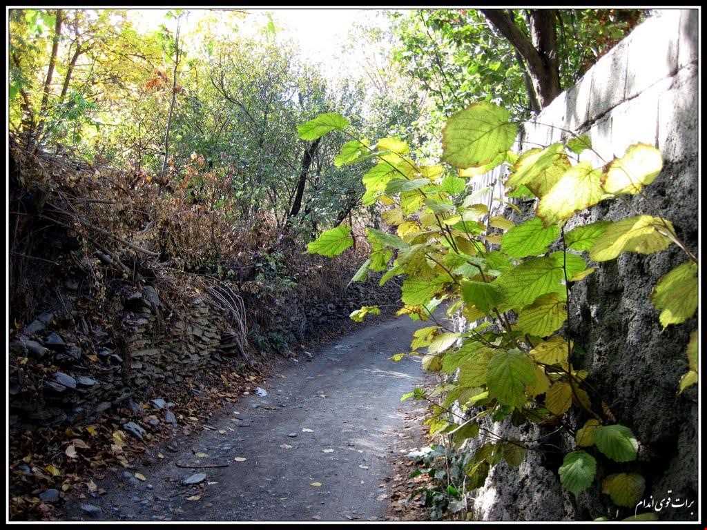 Torghabeh of mashhad