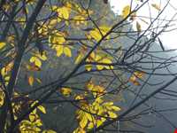 Torghabeh of mashhad