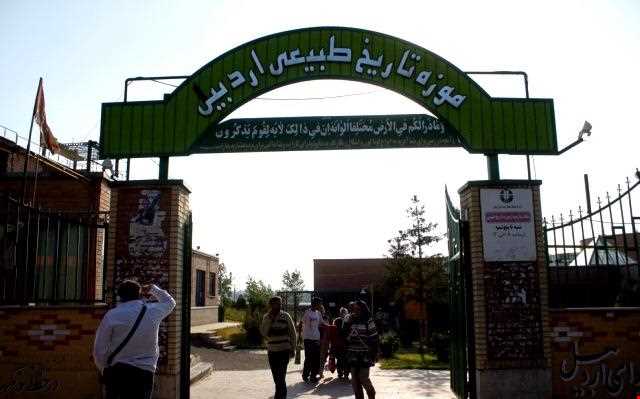 Ardabil wildlife museum