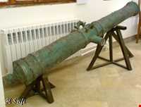 باغ موزه نادری