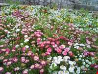 پارک کوه سنگی