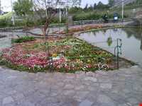 پارک کوه سنگی