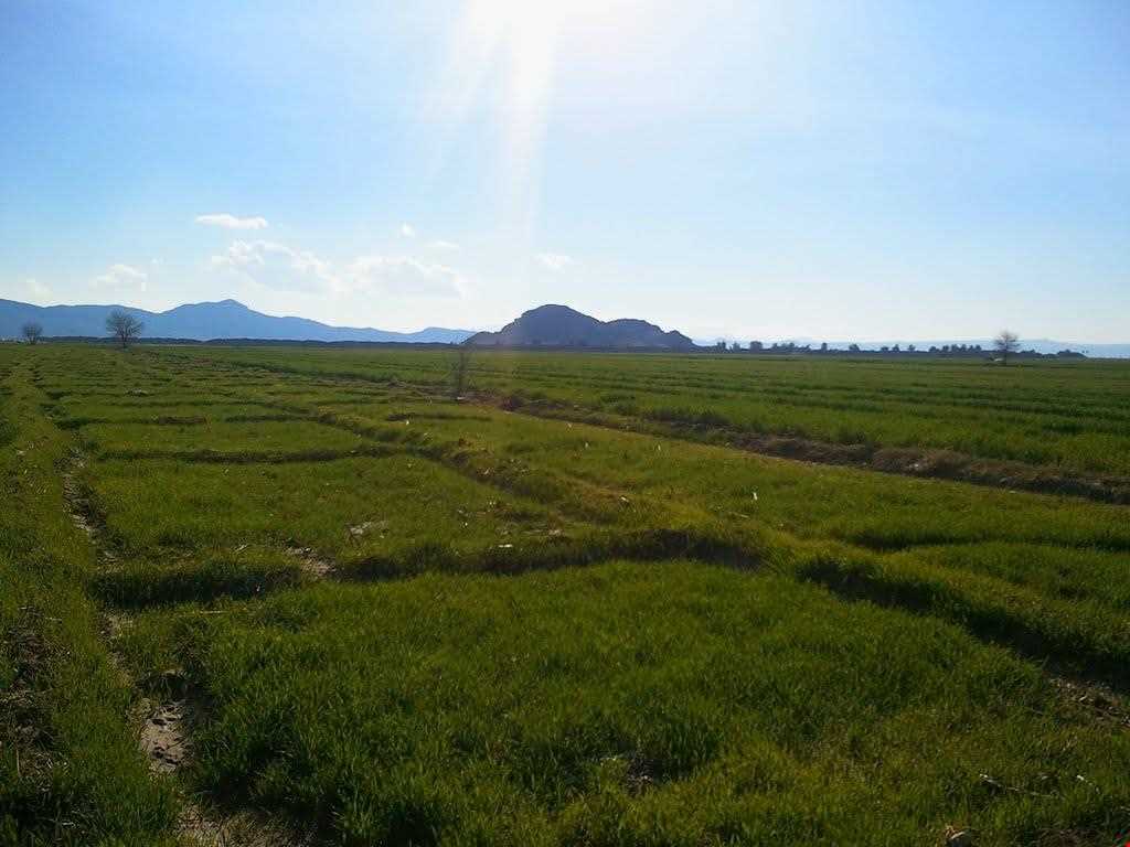 شهر باستانی دارابگرد