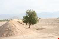 شهر باستانی دارابگرد