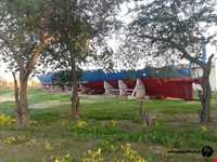 موزه دریا و دریانوردی خلیج فارس