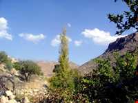 روستای نوایگان داراب