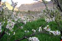 روستای نوایگان داراب