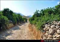 روستای نوایگان داراب