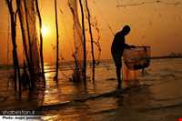 Moshta fishing