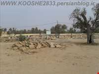 گورستان تاریخی روستای کوشه