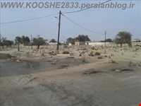 گورستان تاریخی روستای کوشه