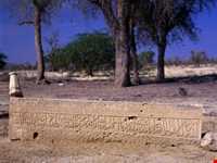 گورستان تاریخی روستای کوشه