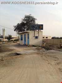 گورستان تاریخی روستای کوشه