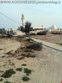 گورستان تاریخی روستای کوشه