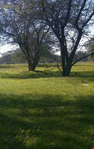 روستای چاهکوتاه