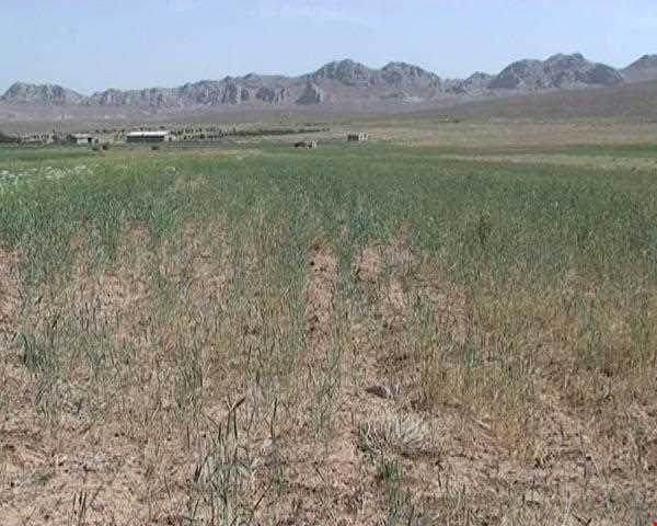 روستای چاهکوتاه