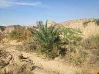 روستای چاهکوتاه