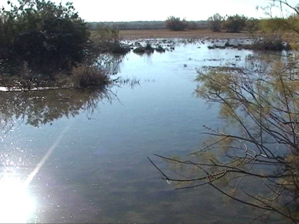 تالاب قره قشلاق