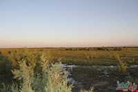 تالاب قره قشلاق