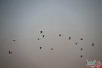 تالاب قره قشلاق