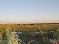 تالاب قره قشلاق