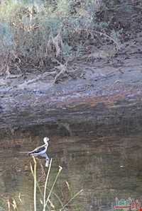 تالاب قره قشلاق