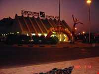 بازار بین المللی زیتون کیش