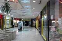 بازار بین المللی زیتون کیش