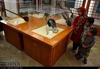 Anthropology Museum of sistan