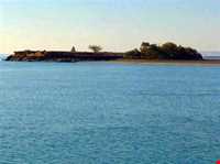 زیارتگاه شیخ اندرآبی