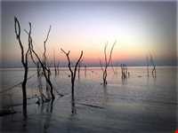 زیارتگاه شیخ اندرآبی