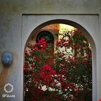 عمارت کازرونی