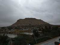 Saadat school of boushehr