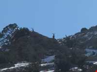 منطقه حفاظت شده پرور