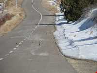 منطقه حفاظت شده پرور