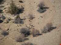 منطقه حفاظت شده پرور