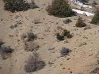 منطقه حفاظت شده پرور