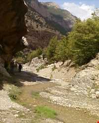 منطقه حفاظت شده پرور