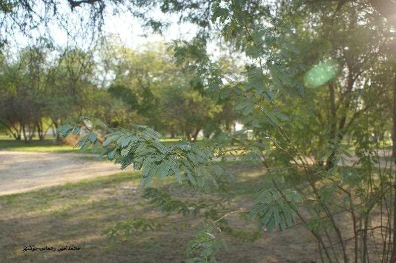 Chahkotah Natural park