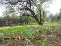 Chahkotah Natural park