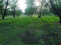 Chahkotah Natural park