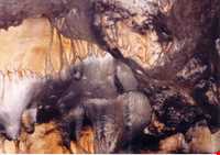 Shafagh Cave
