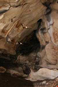 Shafagh Cave