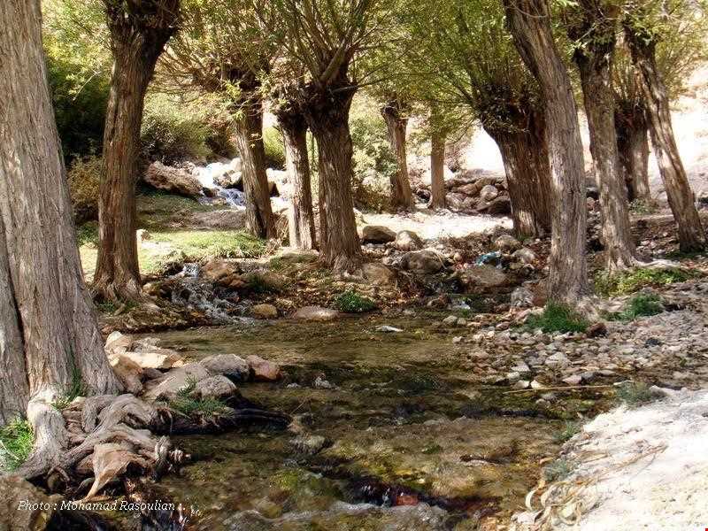 Gholghol Springs