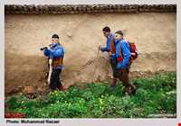 Gorji Mahalleh village