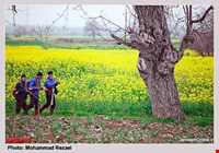 Gorji Mahalleh village